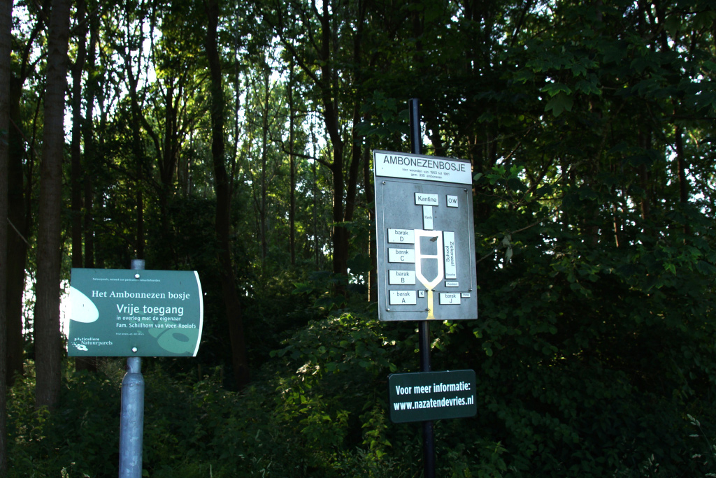 Ambonezenbosje in de Carel Coenraadpolder