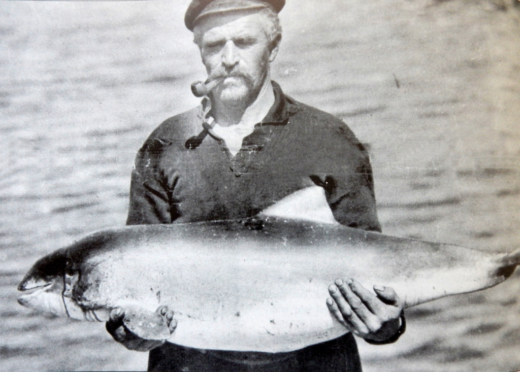 Jurrie Bakker met in de Dollard gevangen Bruinvis, 1929