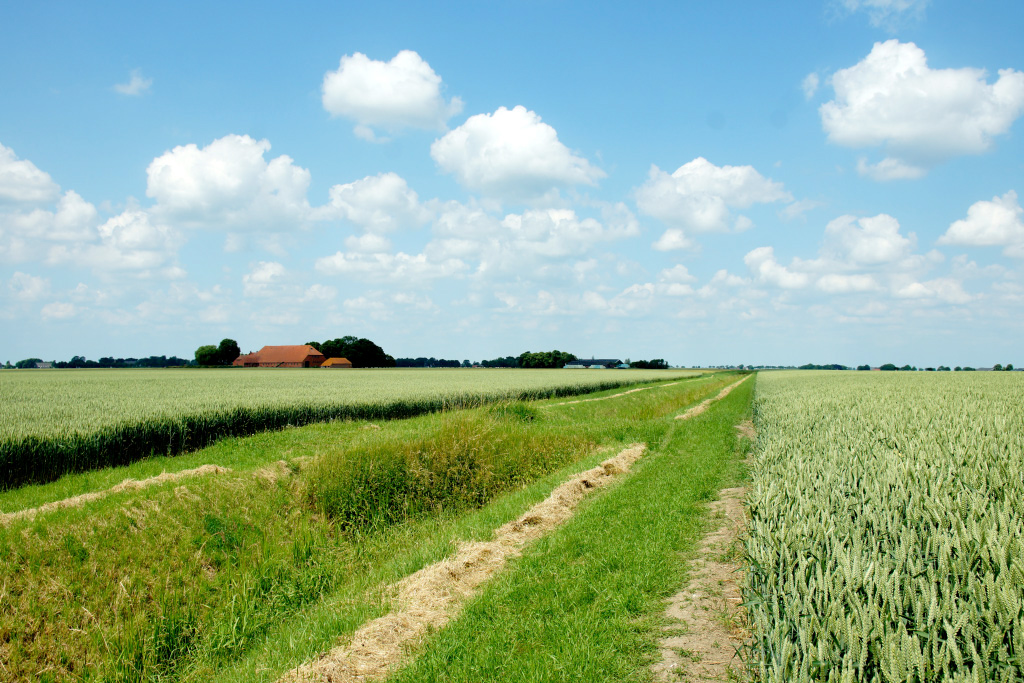 Kroonpolder