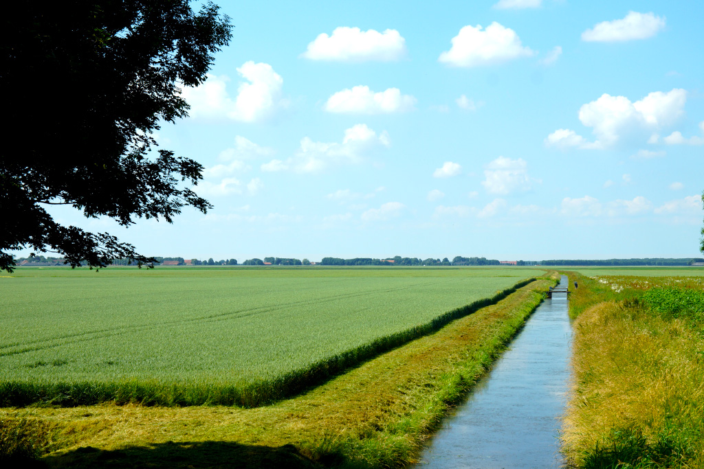 Wandelpad richting Nieuw Beerta